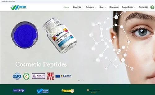 Une nouvelle version de la page d'accueil de l'entreprise est créée