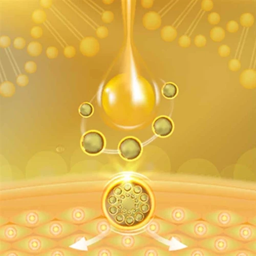 Fonctions clés des peptides cosmétiques lipophiles